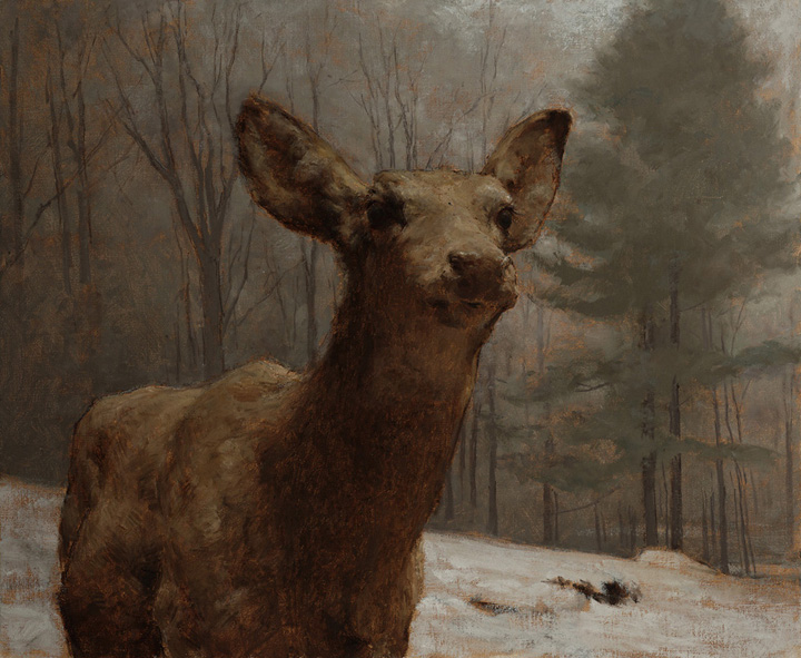 Doe