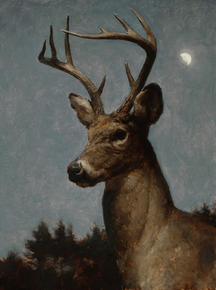 Dusk