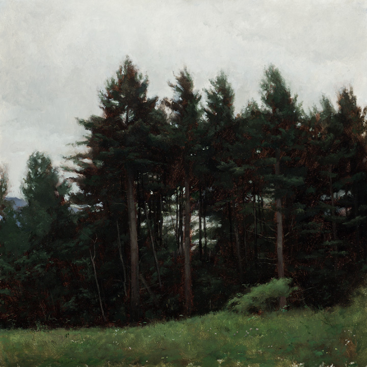 Trees, Overcast