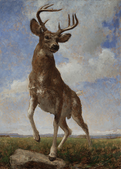 Open Plains Study