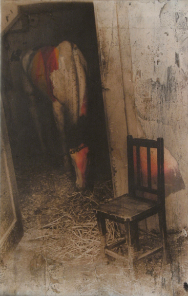 Patience and the Stable Boy