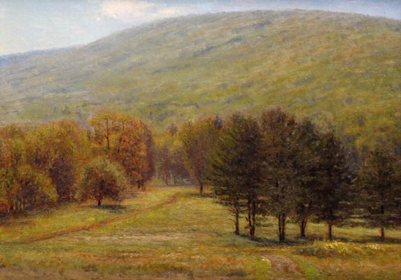 Catskill Field