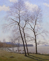 Locust Trees