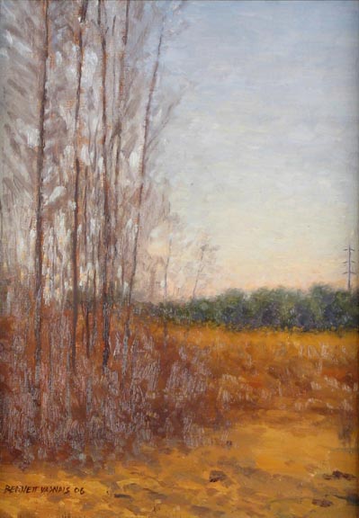 Rochester Field in Winter