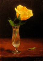 Yellow Rose
